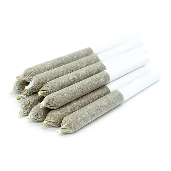 Image for Sun County Kush Pre-Roll, cannabis all products by Sticky Nuggz Inc
