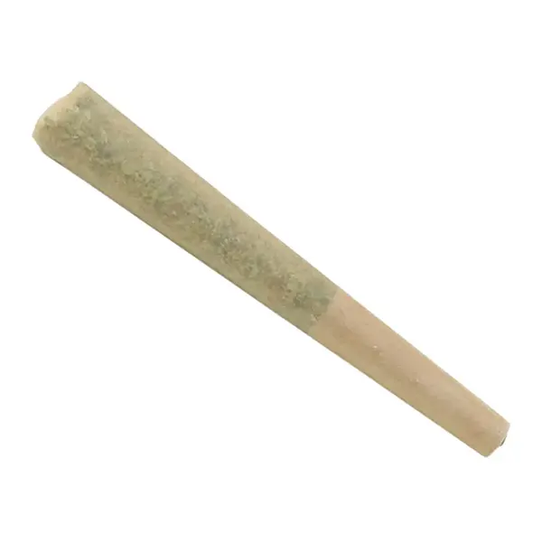Image for Super Lemon Haze Pre-Roll, cannabis all categories by Green House Seed Co.