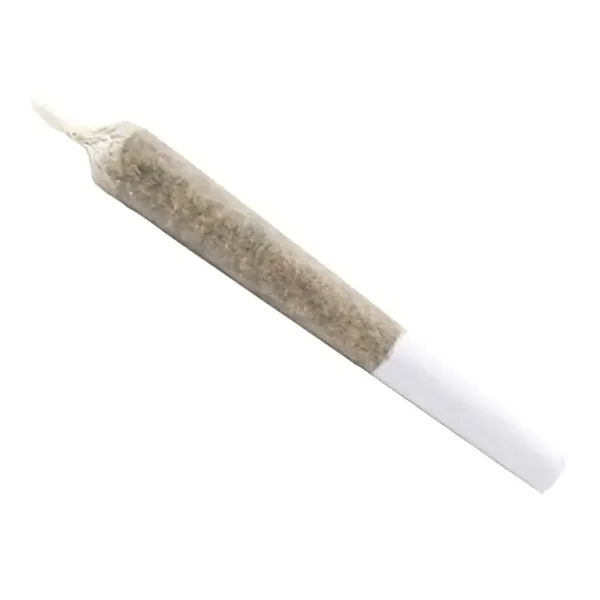 The Flav PRJ Pre-Roll