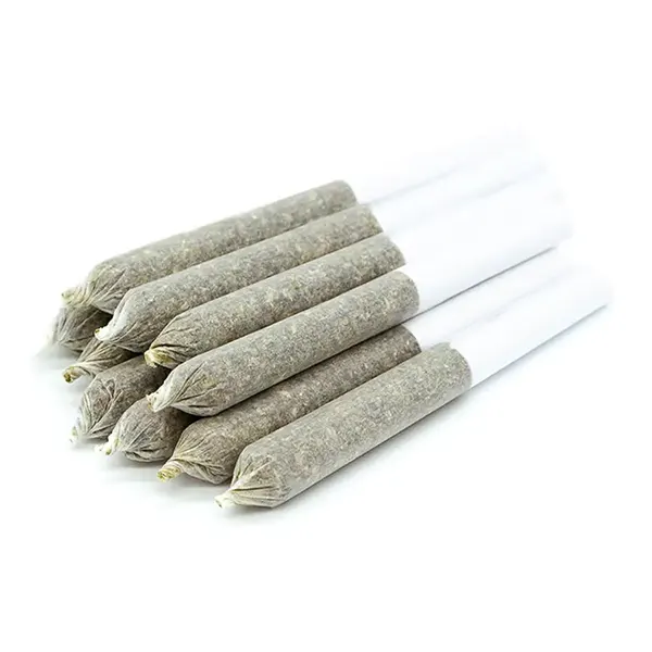 Product image for The House of Cannabis Sun County Kush Pre-Roll, Cannabis Flower by The House Of Cannabis