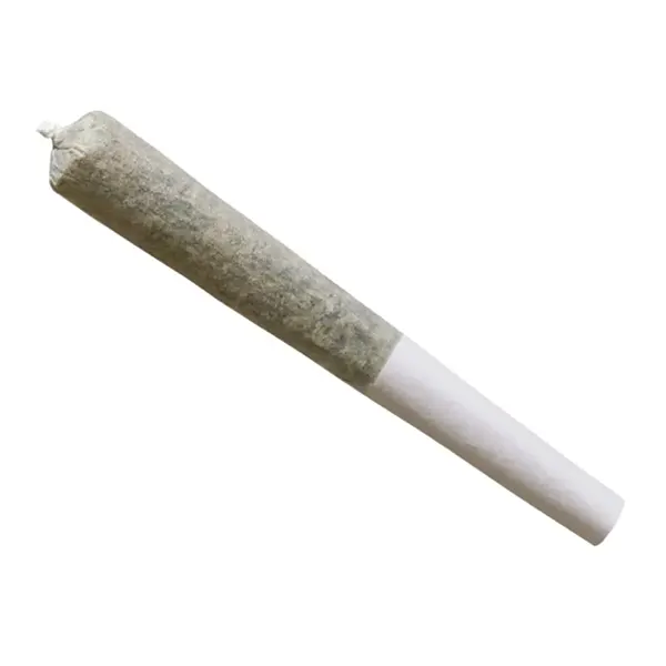 Tropic Thunder J's Pre-Roll (Pre-Rolls) by Shred