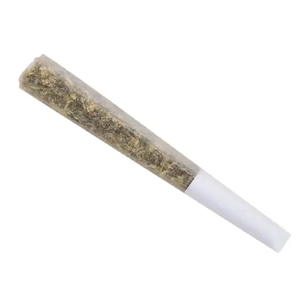 Image for Tropical Gelato Pre-Roll, cannabis all categories by The Wild Florist