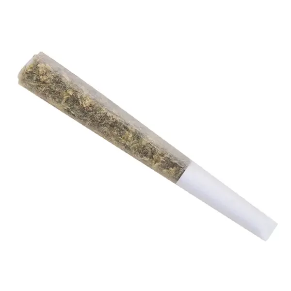 Tropical Gelato Pre-Roll (Pre-Rolls) by The Wild Florist