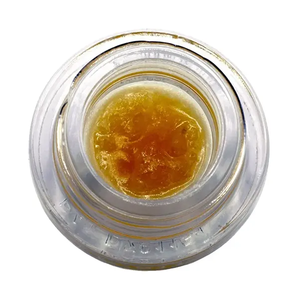 Apricot Kush Live Sugar (Resin, Rosin) by Pressed by Qwest