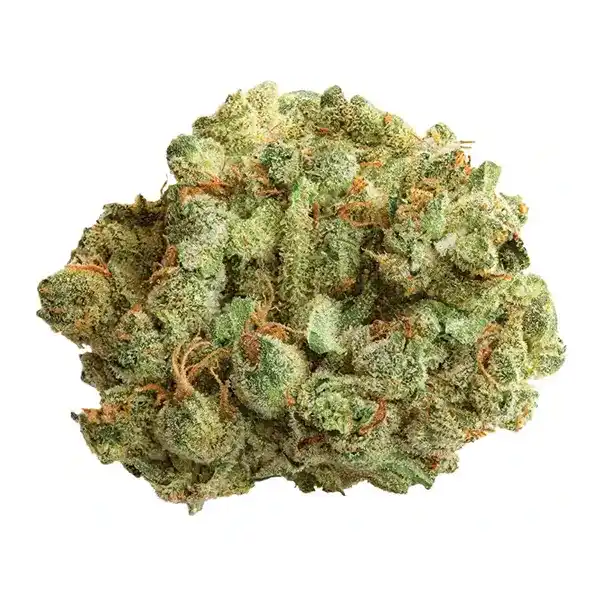 Bud image for Cocoa Bomba, cannabis all categories by Spinach