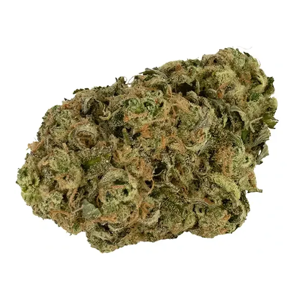 Bud image for 91k, cannabis dried flower by Doja