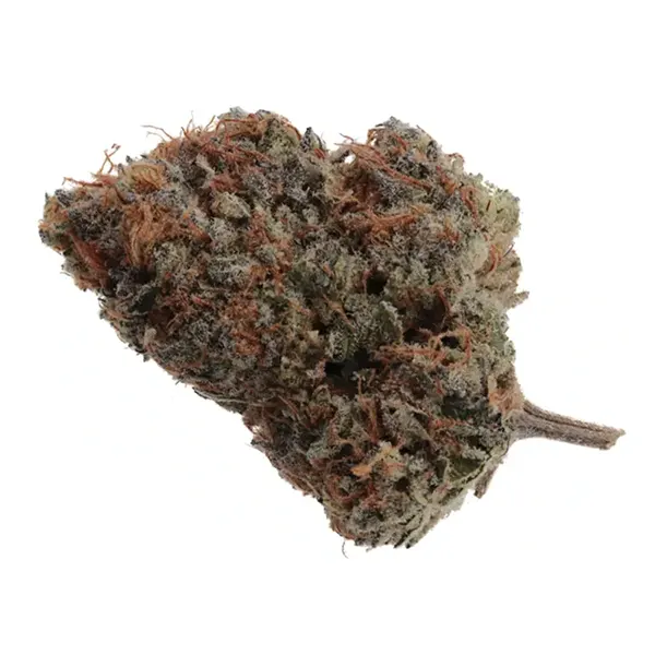 Bud image for Craft Granola Funk, cannabis all categories by Wink