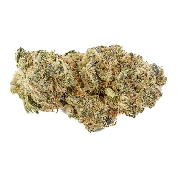 Bud image for Fruity Pebbles OG, cannabis dried flower by Back Forty