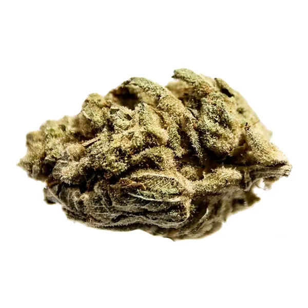 Bud image for GG#4, cannabis all categories by Station House