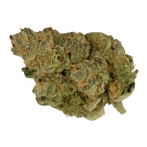 Bud image for GMO Garlic Breath, cannabis dried flower by Doja