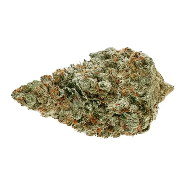 Bud image for Jet Fuel Gelato, cannabis dried flower by Pure Sunfarms