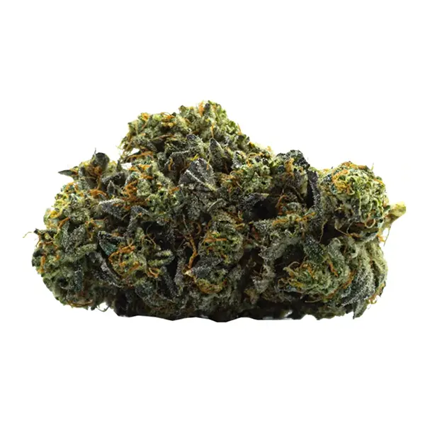 Bud image for Mr. Gas, cannabis dried flower by Panorama