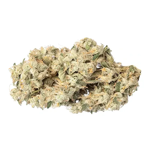 Bud image for Papaya Cake, cannabis all categories by Qwest