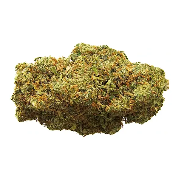 Product image for Bandwagon Blue Dream, Cannabis Flower by Homestead