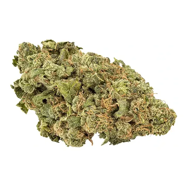 Bud image for Lemon Margy, cannabis all categories by Big Bag O Buds