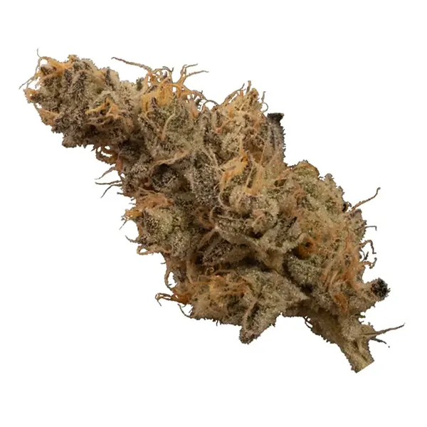 Bud image for Dosi-GMOsi #6, cannabis dried flower by Ogen