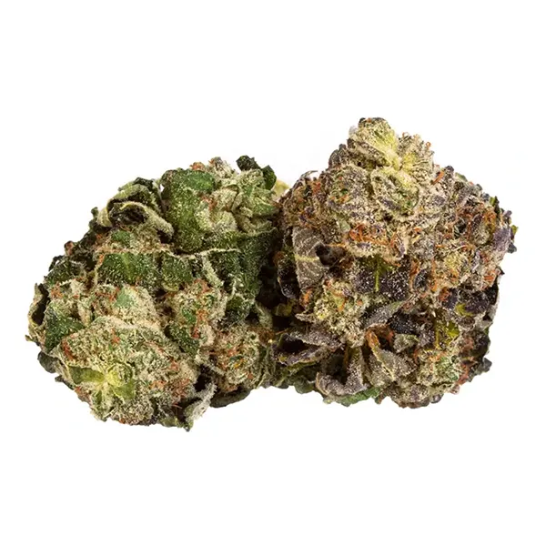 Bud image for Powdered Donuts, cannabis all categories by NESS