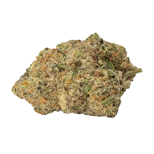 Bud image for Purple Punch Mints #11, cannabis all categories by Joi Botanicals