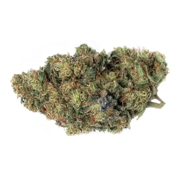 Product image for Sour Sis, Cannabis Flower by Flowr