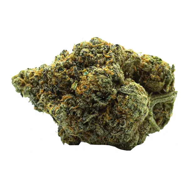 Bud image for Space Queen, cannabis dried flower by The Loud Plug