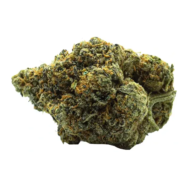 Bud image for Space Queen, cannabis all categories by The Loud Plug