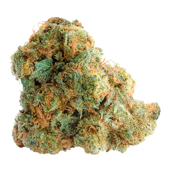 Bud image for Atomic Sour Grapefruit, cannabis all categories by Spinach