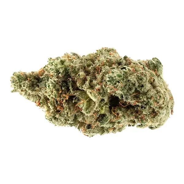 Bud image for Strawberry Octane, cannabis dried flower by Pura Vida