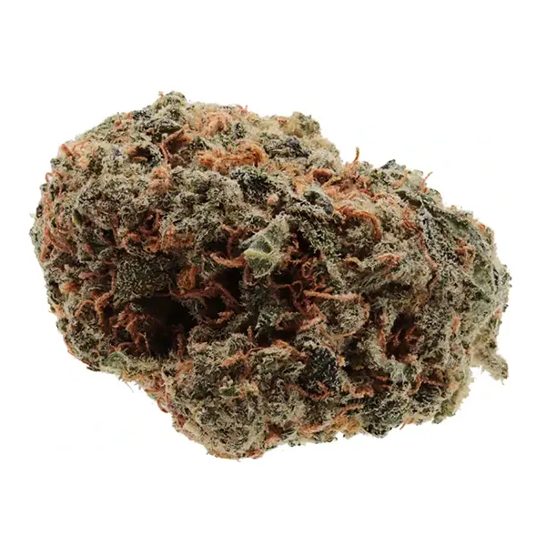 Bud image for Sugar Shack Sativa, cannabis dried flower by Cruuzy