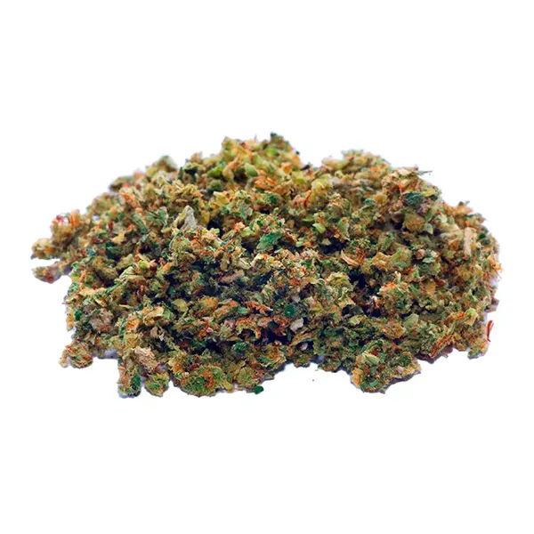 Bud image for Cropped Sativa Harvest, cannabis all categories by Divvy