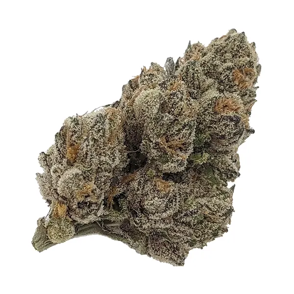 Bud image for 10 G's, cannabis all categories by Rocket Factory
