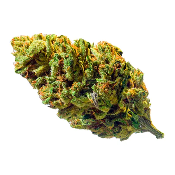 Bud image for 1:1, cannabis dried flower by Redecan