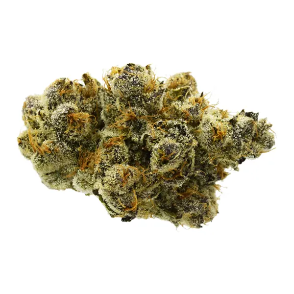 Bud image for 33 Splitter, cannabis dried flower by True Fire