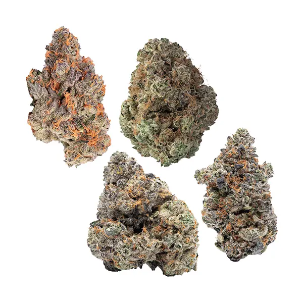 Image for 4 Cultivar Flower Pack, cannabis dried flower by Cookies