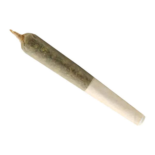 Product image for 3 x lil Buddy Sativa Pre-Roll, Cannabis Flower by Buddy Blooms