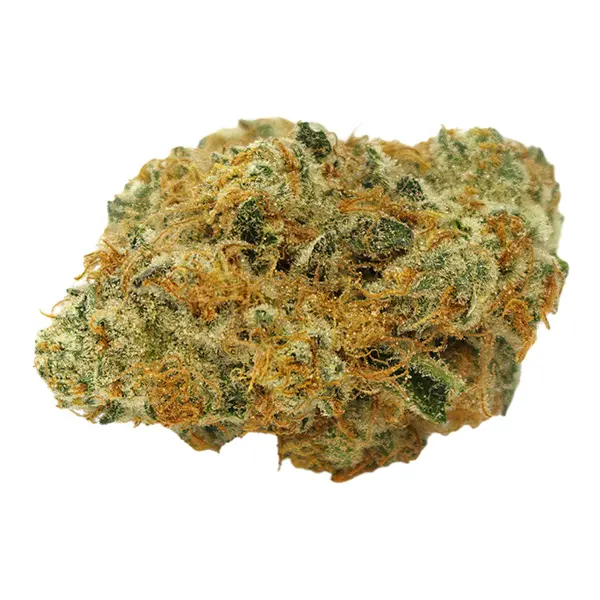 Bud image for 3.1416 Face, cannabis dried flower by Highland Grow