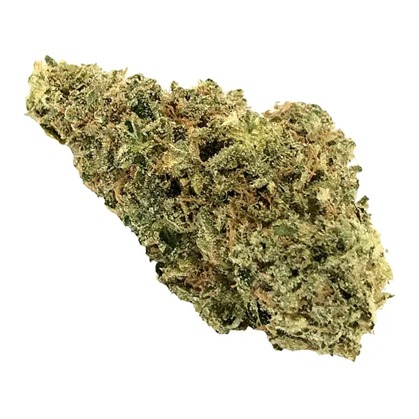 Bud image for AAA+ Indica, cannabis dried flower by Crooked Dory