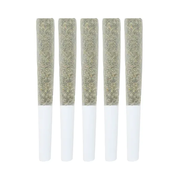 Image for AAA+ Indica Pre-Roll, cannabis all categories by Crooked Dory