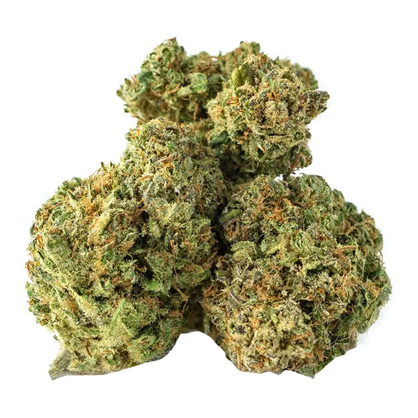 Bud image for AC/DC CBD, cannabis all categories by Jonny Chronic