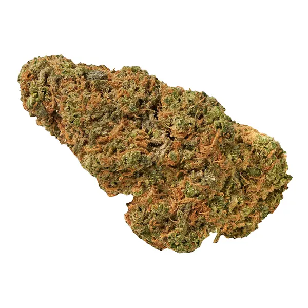 Bud image for Afghaniskunk, cannabis dried flower by Canaca