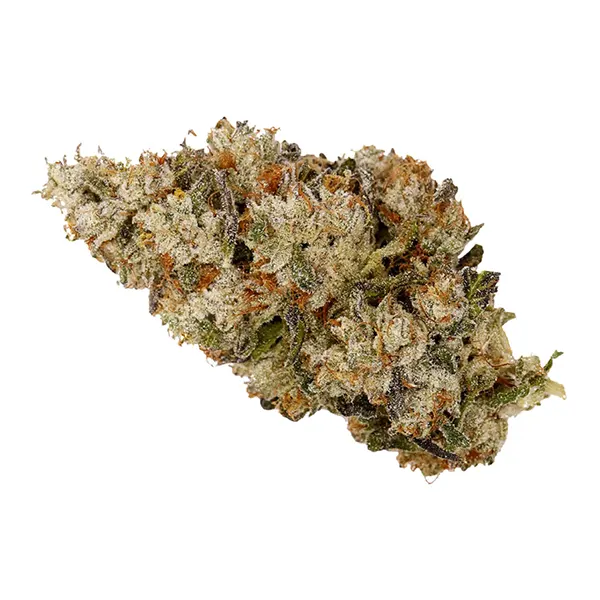 Bud image for Alaskan TF, cannabis dried flower by Top Leaf