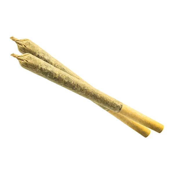 Product image for Alaskan Thunder F (ATF) Pre-Roll, Cannabis Flower by The BC Bud Co.