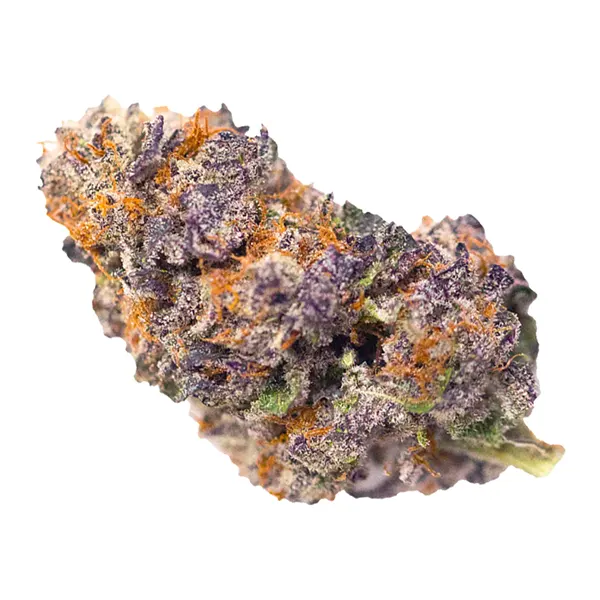 Product image for Alien Abduction, Cannabis Flower by Busted