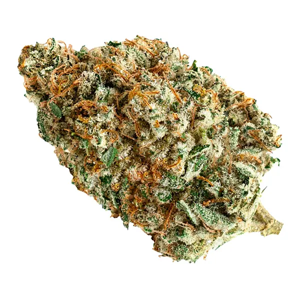 Bud image for Alien Fuel, cannabis dried flower by Soar