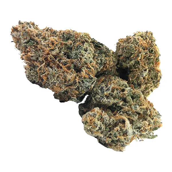 Bud image for Am/Pm Dried Flower Mix Pack, cannabis all categories by Pistol and Paris