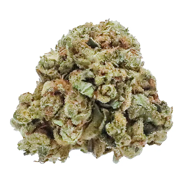 Bud image for Amnesia Haze, cannabis all categories by Station House