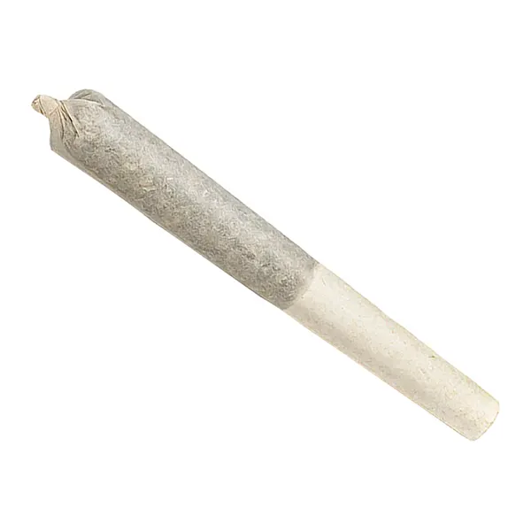 Image for Amsterdam Sativa Pre-Roll, cannabis pre-rolls by Highly Dutch Organic