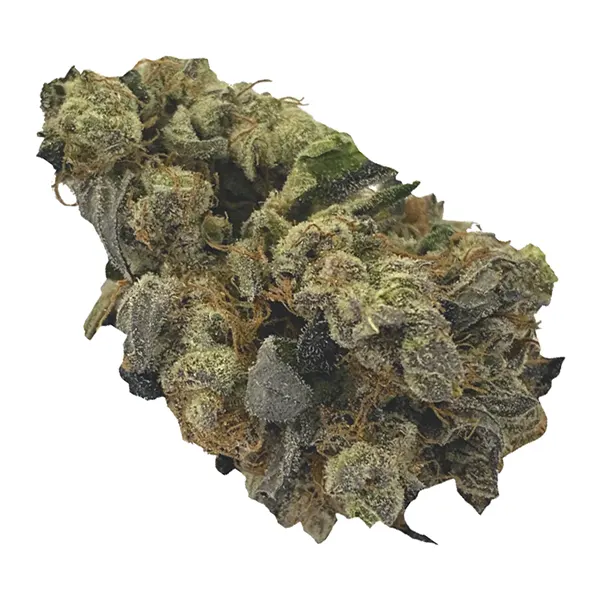 Bud image for Animal Face, cannabis dried flower by BC Green