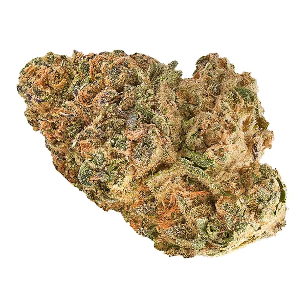 Bud image for Animal Rntz, cannabis dried flower by Redecan