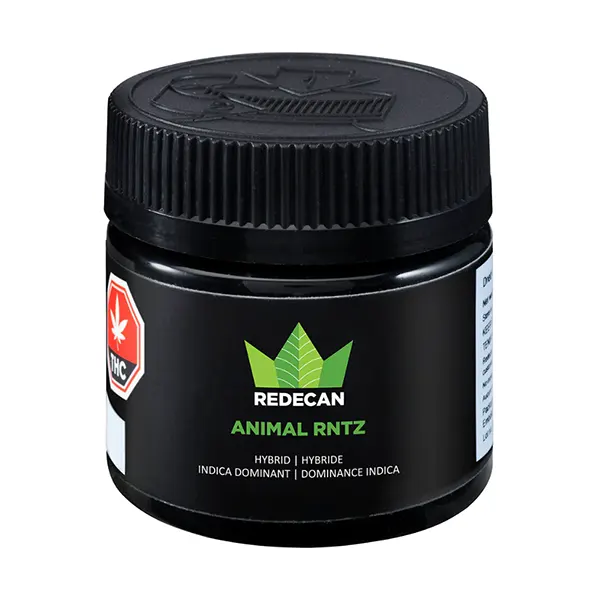 Animal Rntz (Dried Flower) by Redecan