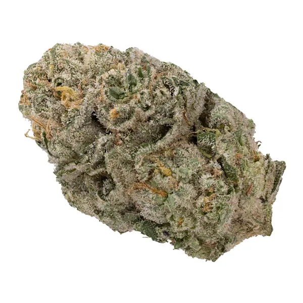 Bud image for Apex OG, cannabis all categories by SUMO Cannabis